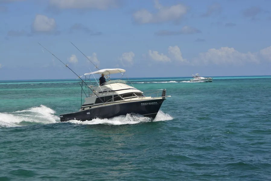 TIKI TIKI PARTY BOAT