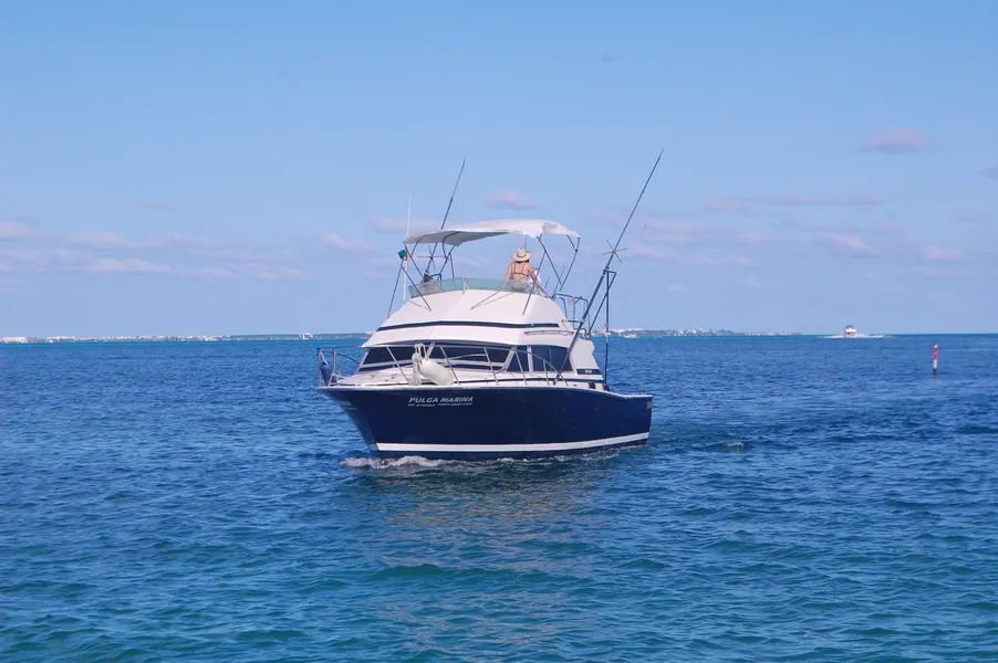 TIKI TIKI PARTY BOAT